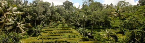 UK Mortgages for Expats Living in Indonesia
