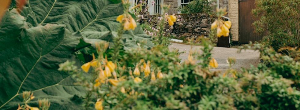 UK family home remortgaged by a British expat homeowner