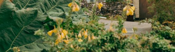 Retiring to the UK: Mortgages for Expats Returning in Retirement
