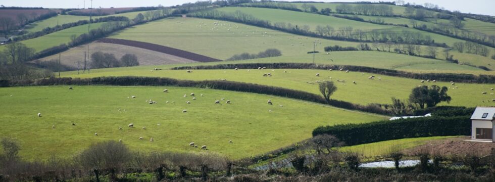 Farm agricultural commercial mortgage UK - rolling countryside fields