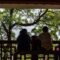 Later life borrowing UK - older couple calm garden bench