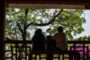 Later life borrowing UK - older couple calm garden bench