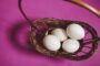 Concentrated stock position risk - eggs in basket diversification concept