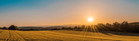 Land Buying in the UK: Financing a Plot Before You Build