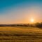 Buying land UK to build on - empty field plot