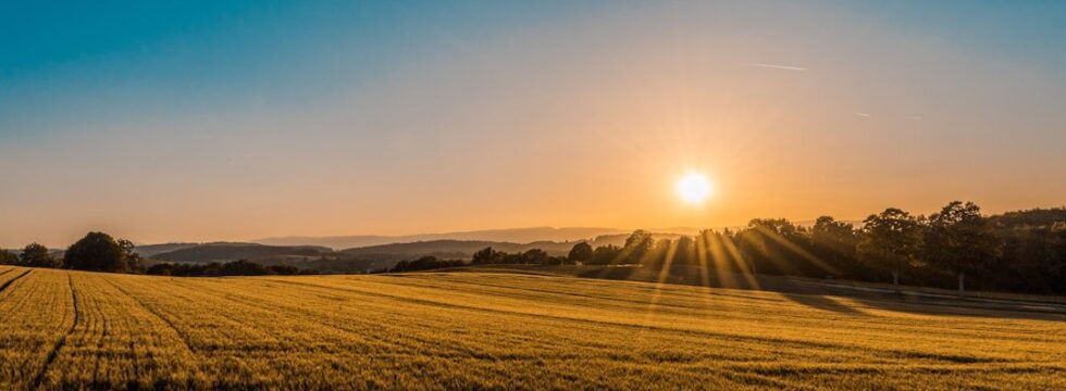 Buying land UK to build on - empty field plot