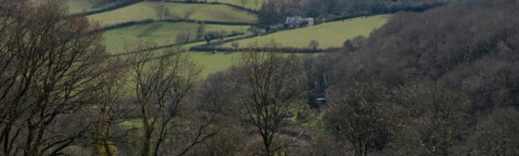 Rural and Agricultural Property: Financing Beyond the Farmhouse